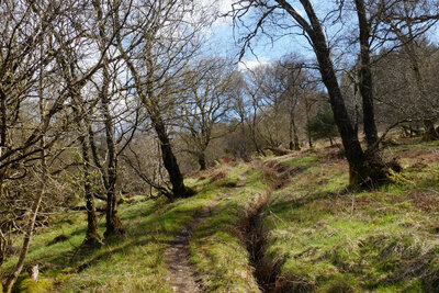 Walk photo
