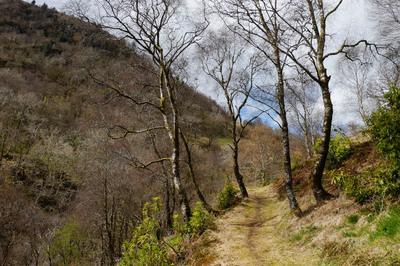 Walk photo