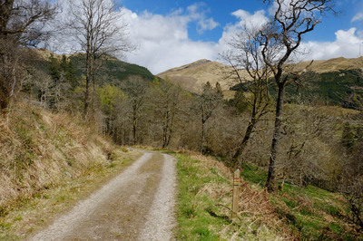 Walk photo