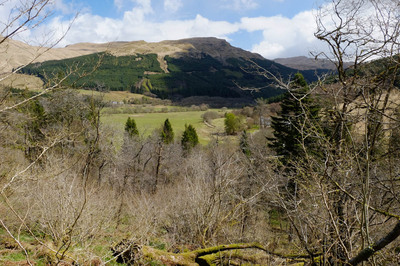 Walk photo
