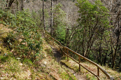 Walk photo
