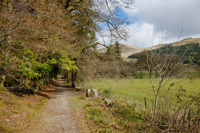 Walk photo