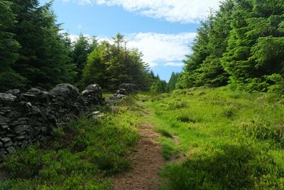 Walk photo