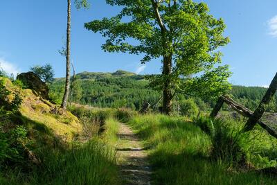 Walk photo