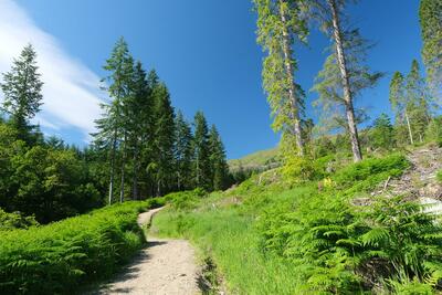 Walk photo