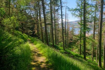 Walk photo