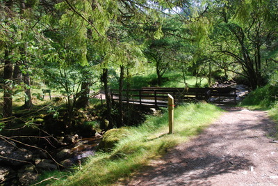 Walk photo