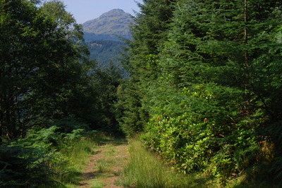 Walk photo