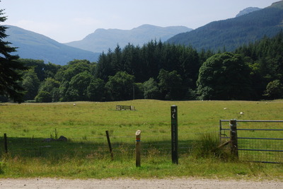 Walk photo