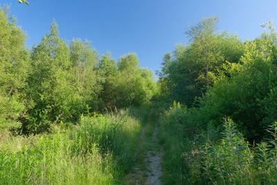 Walk photo