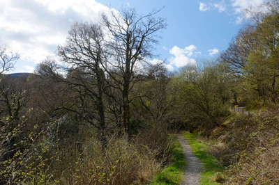 Walk photo