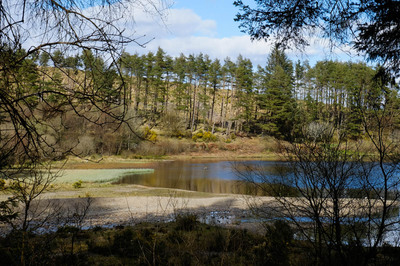 Walk photo