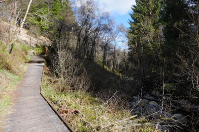Walk photo