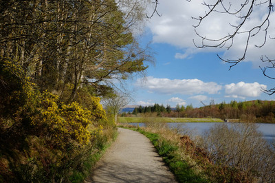 Walk photo