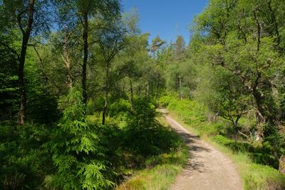 Walk photo