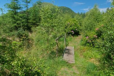 Walk photo
