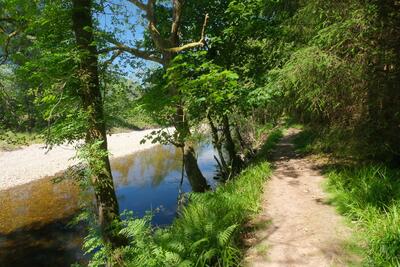 Walk photo