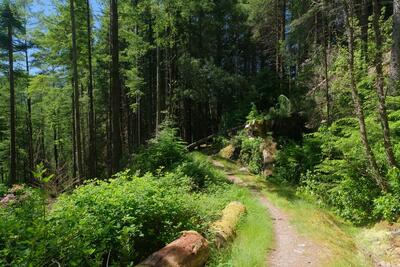 Walk photo