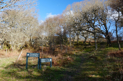 Walk photo