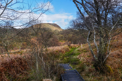 Walk photo