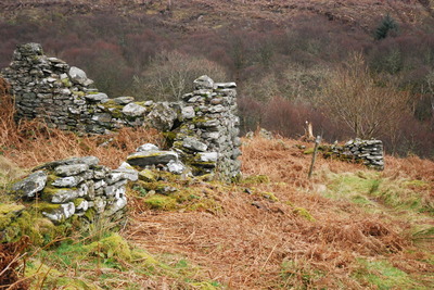 Walk photo