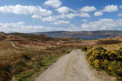 Walk photo