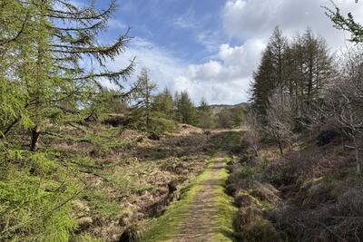 Walk photo
