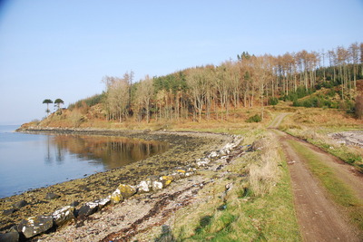 Walk photo