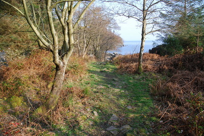 Walk photo