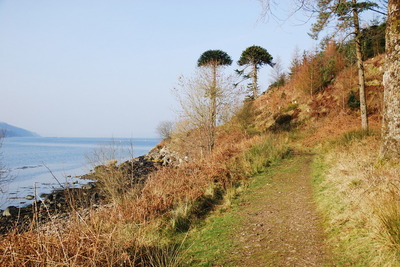 Walk photo