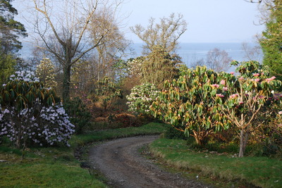 Walk photo