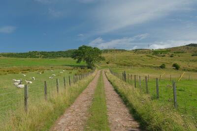 Walk photo