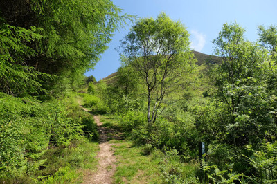 Walk photo
