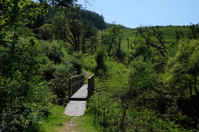 Walk photo
