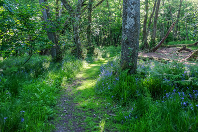 Walk photo