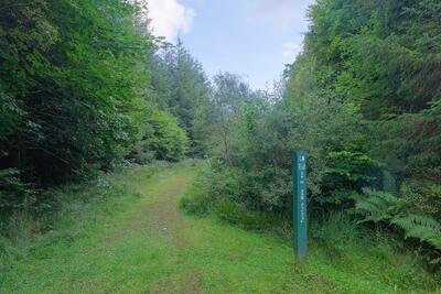 Walk photo
