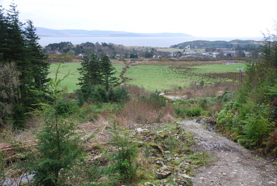 Walk photo