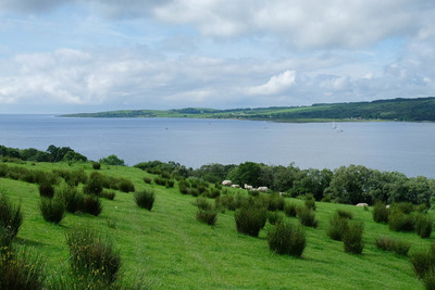 Walk photo
