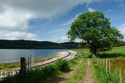 Walk photo