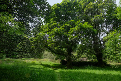 Walk photo
