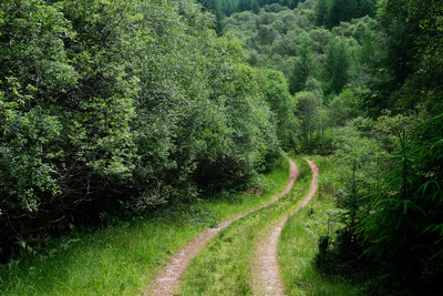 Walk photo
