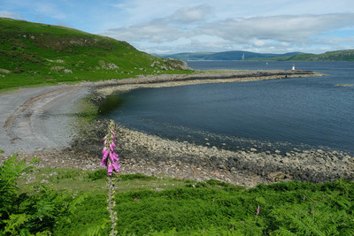 Walk photo