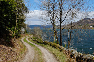 Walk photo