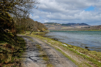 Walk photo
