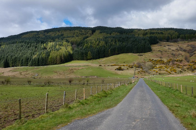 Walk photo