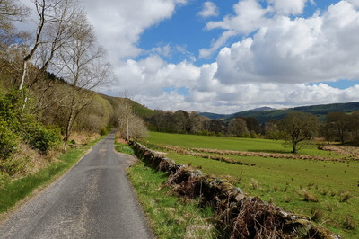 Walk photo