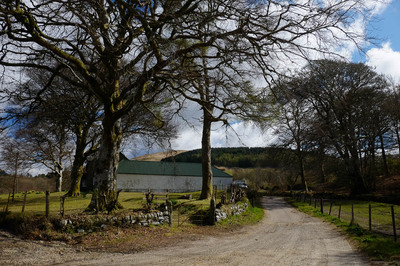 Walk photo