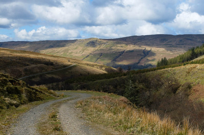 Walk photo