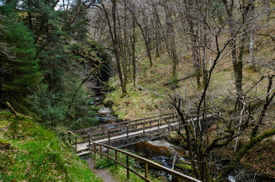 Walk photo