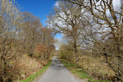 Walk photo
